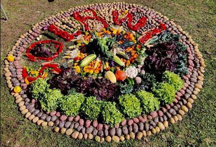 Gemüsemandala mit Solawi-Schriftzug